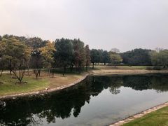 -东方绿舟景区
