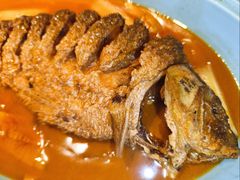 红烧黄河鲤鱼-阿五黄河大鲤鱼(英协路店)