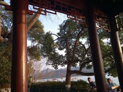 -西湖外事游船(花港观鱼码头)