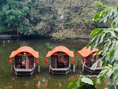 -侨美·唐荔园·40年地道粤菜