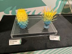 -江宁织造博物馆