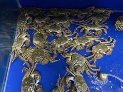 -阳澄湖大闸蟹·琼灵阁牌品牌连锁(吴中总店)