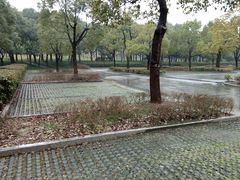 -金匮公园-南入口停车场