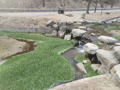 -白水寺森林公园