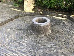 -上海佘山国家森林公园天马山园