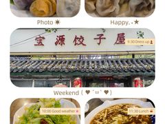 -宝源饺子(麦子店街店)