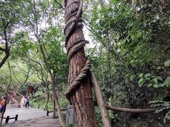 -天目湖山水园