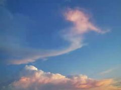 -长虫山生态公园风景林