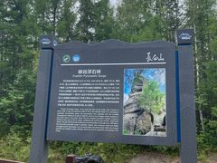 -峡谷浮石林景区