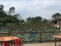 -老乡村美食农庄