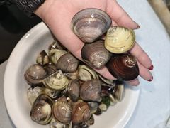 -北海金海湾红树林生态旅游区