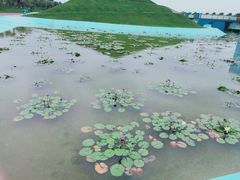 -南通洲际绿博园