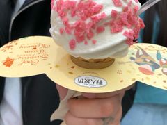 -野人先生现做冰淇淋(西安赛格店)
