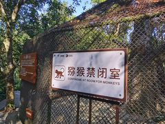 -南湾猴岛+椰田古寨一日游