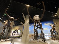 -国家自然博物馆