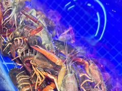 -亿牌牌东北烧烤(博物馆旗舰店)