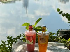 -星满杯TEAFUL(罗湖东门店)