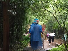 -武夷山风景名胜区-玉女峰