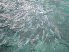 -蓝湾海滩