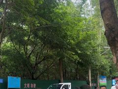 -火炉山森林公园