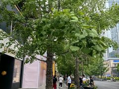 -春熙路步行街