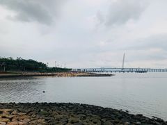 -深圳湾公园-停车场