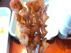 -邢氏老太太烤串(北兴街店)