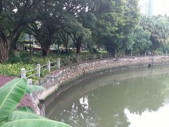 -晓港公园