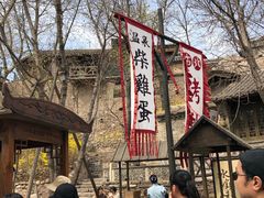 -古北烤梨