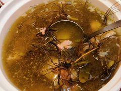 -锦粤宫·精致粤菜(深圳北站店)