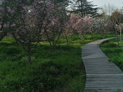 -东方绿舟景区