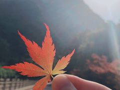 -宁波五龙潭景区