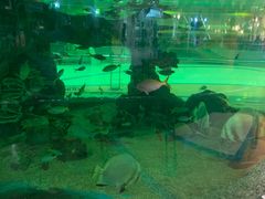 -尚泰清迈机场购物中心