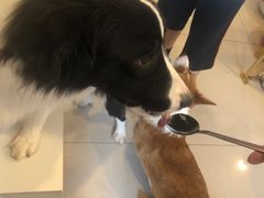 -平行世界·猫咖(首经贸店)