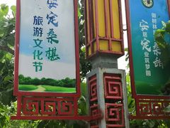 -御林古桑园