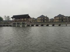 -杭州湾海上花田景区