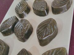-麻奢鸽农庄·梦里水乡