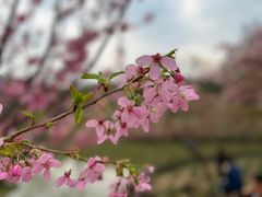 -梁溪河畔·吉府花园(南长街南下塘店)