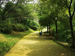 -冶山国家矿山公园