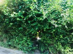 -斯多格书乡(北京大学畅春园店)