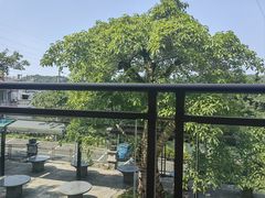 -老幺泉水鸡