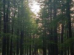 -艾溪湖湿地公园