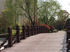 -上海崇明金茂凯悦酒店