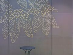 -星巴克(佛山九鼎国际广场店)