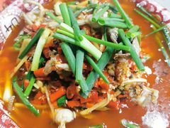 活水青蛙-拈一筷子·宜宾江湖菜(十一街店)