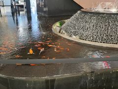 -新世界大丸百货