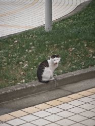 -升艾堂亚健康调理中心
