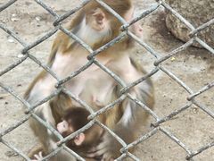 -长白岛森林公园