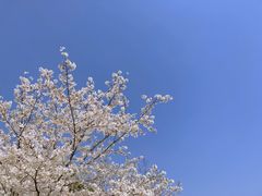 -苏州上方山国家森林公园
