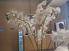 -上鸿汤泉•易营+